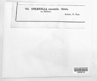 Image Associated With the Occurence
